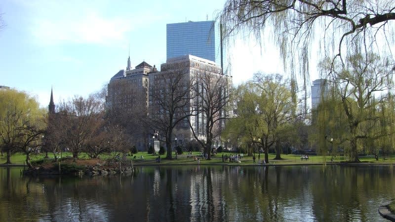 11 ting at lave i Boston i foråret