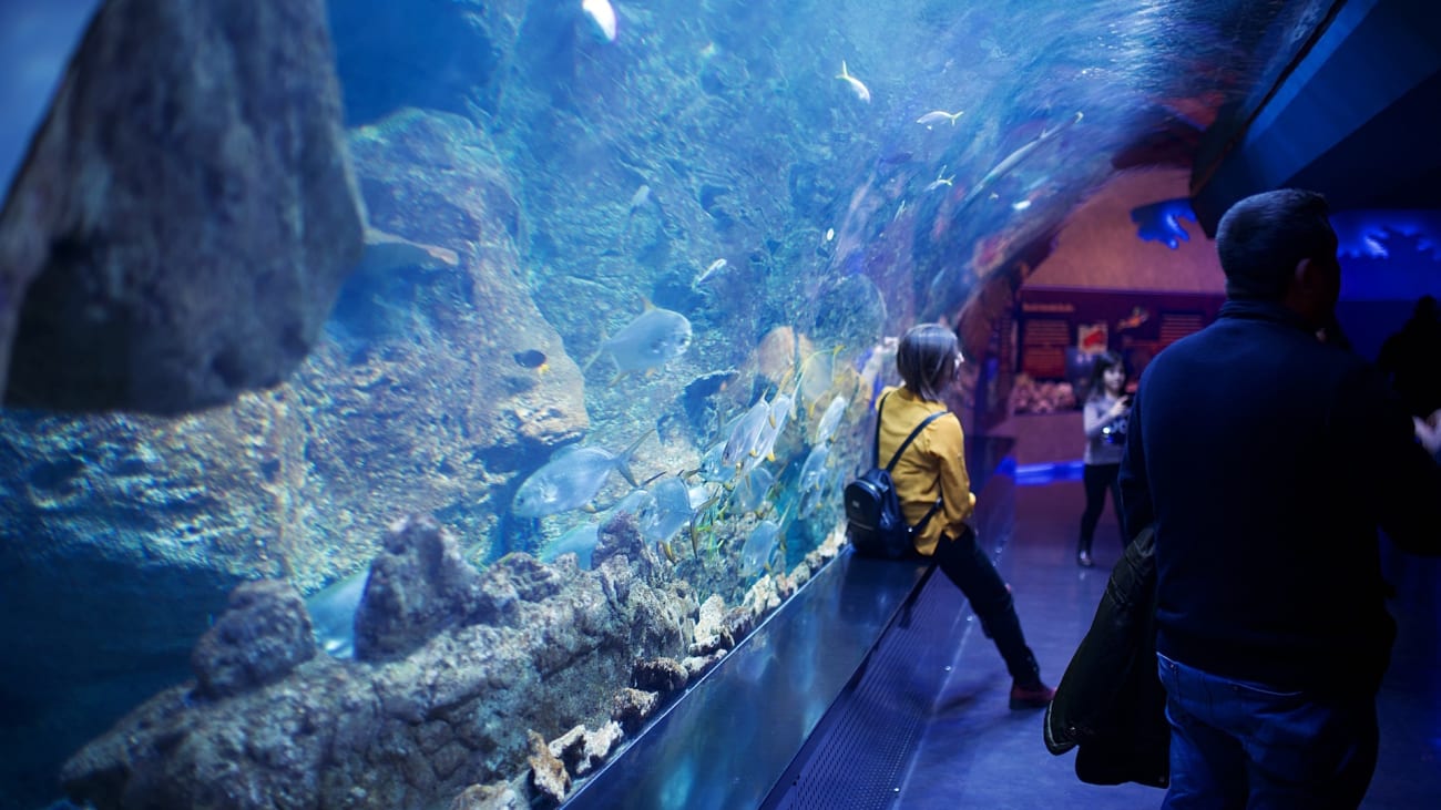 Biglietti per l’acquario Sea Life di Monaco di Baviera