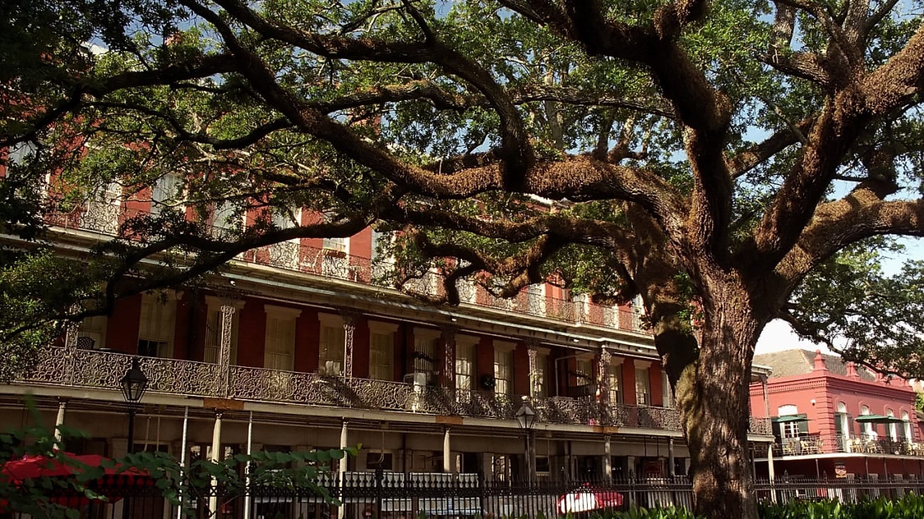 10 cose da fare a New Orleans ad agosto