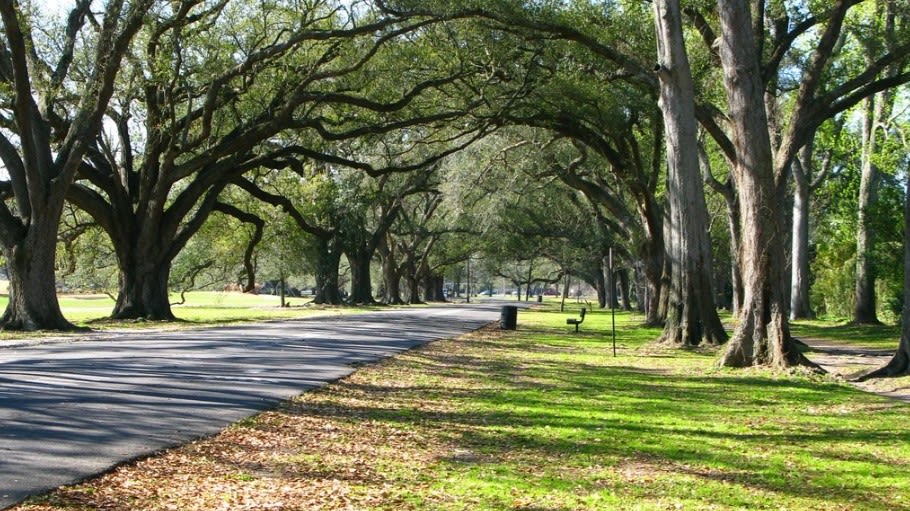 10 Coisas para Fazer em Nova Orleans em Outubro