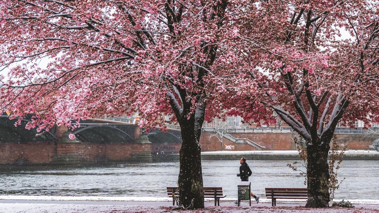 10 Dinge, die man im Frühling in Seattle tun kann