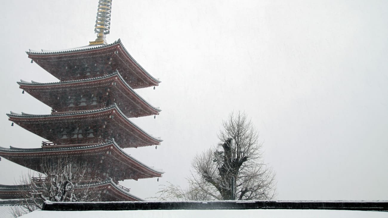 10 saker att göra i Tokyo i januari