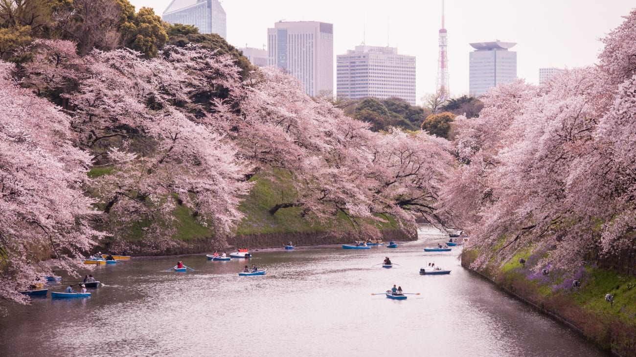 10 dingen om te doen in Tokyo in de lente