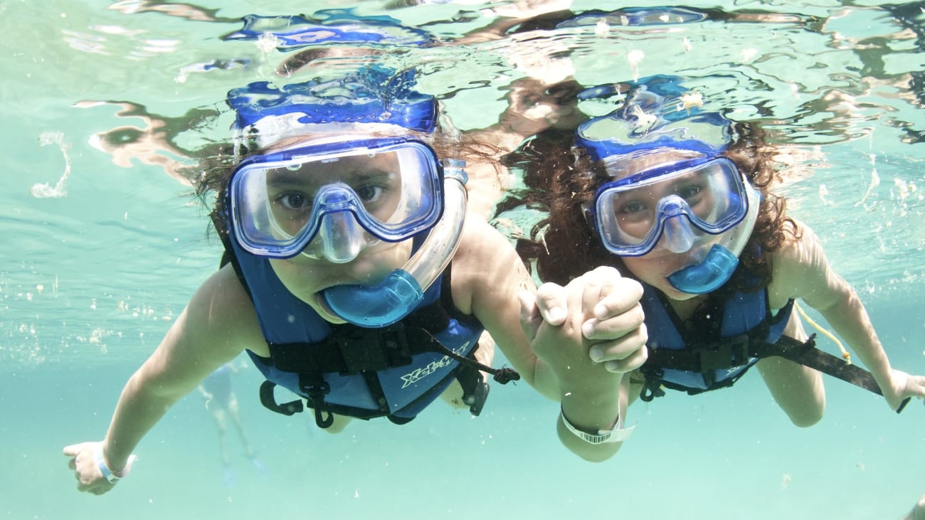 Bedste Snorkeloplevelser i Playa del Carmen