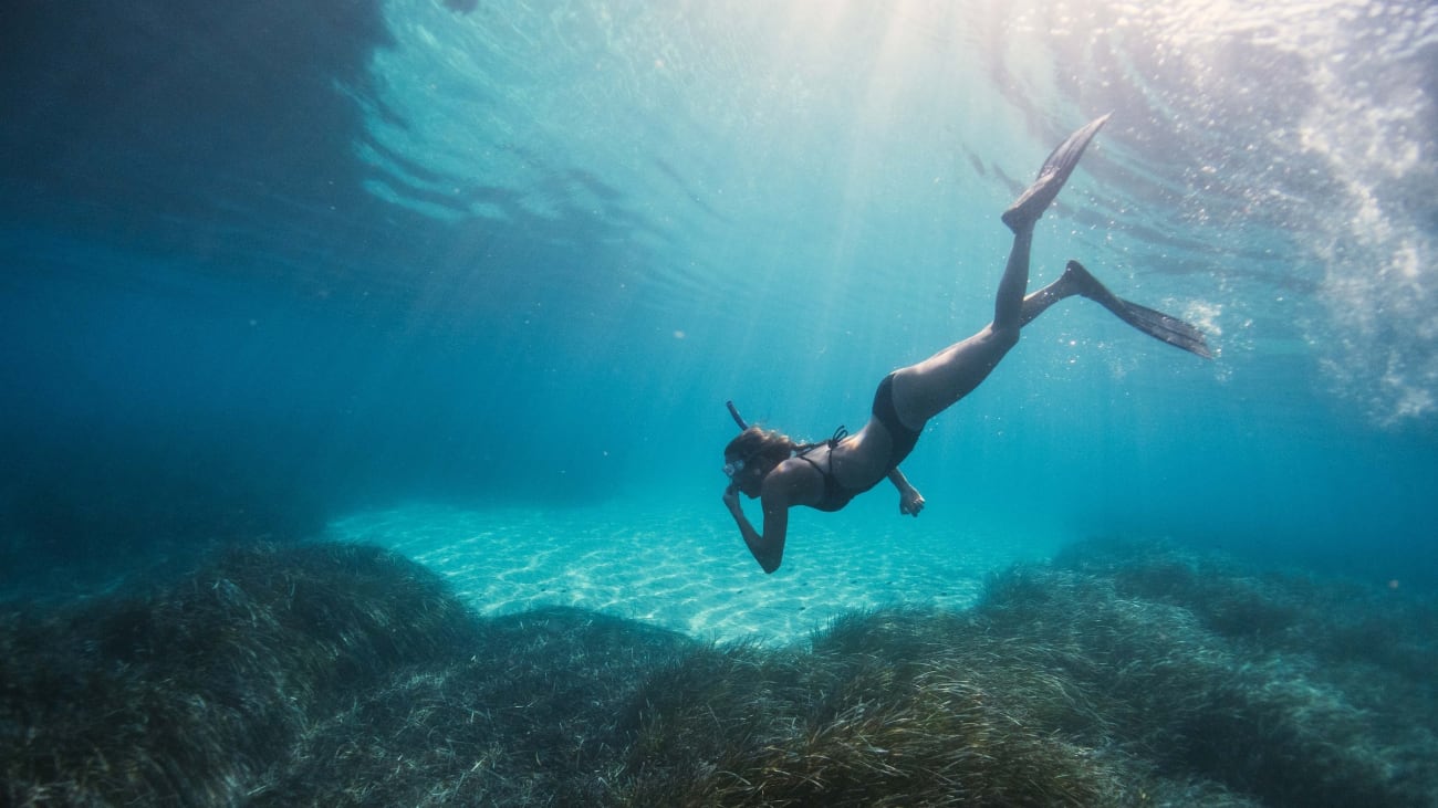 Esperienze di snorkeling a Punta Cana