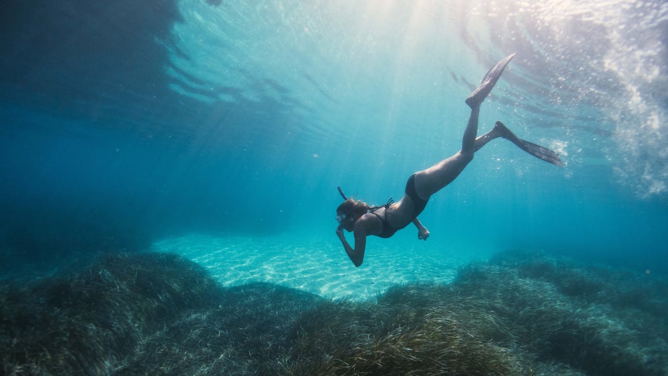 Snorkeling Experiences in Punta Cana