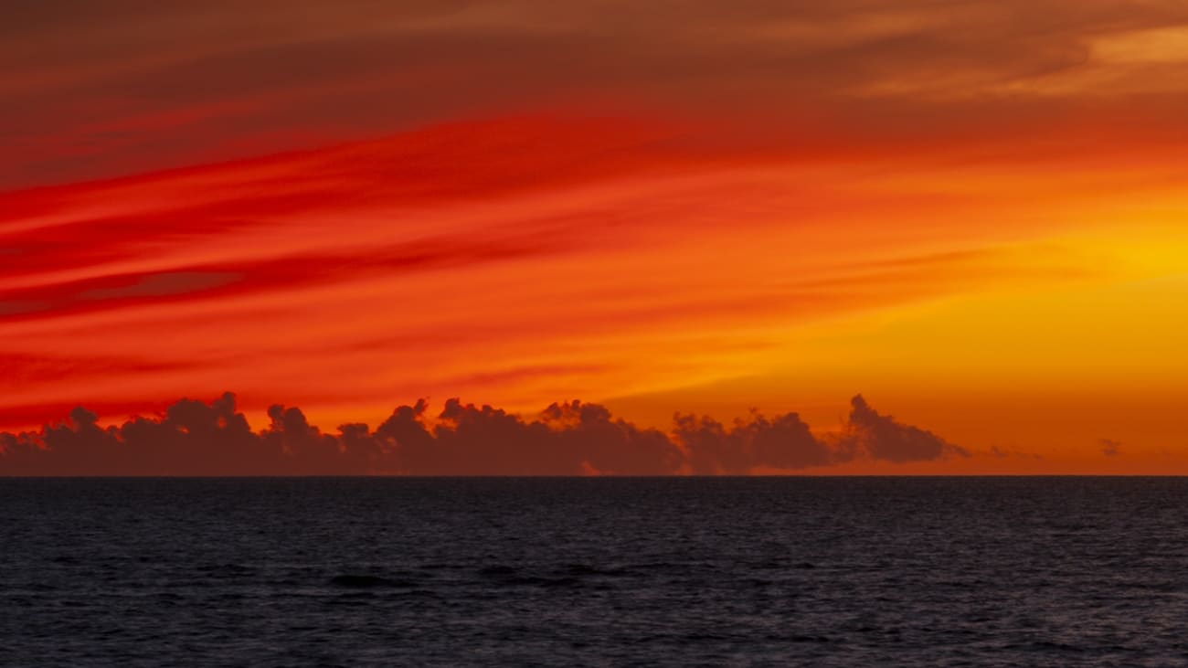 Cosa fare a Maui di notte