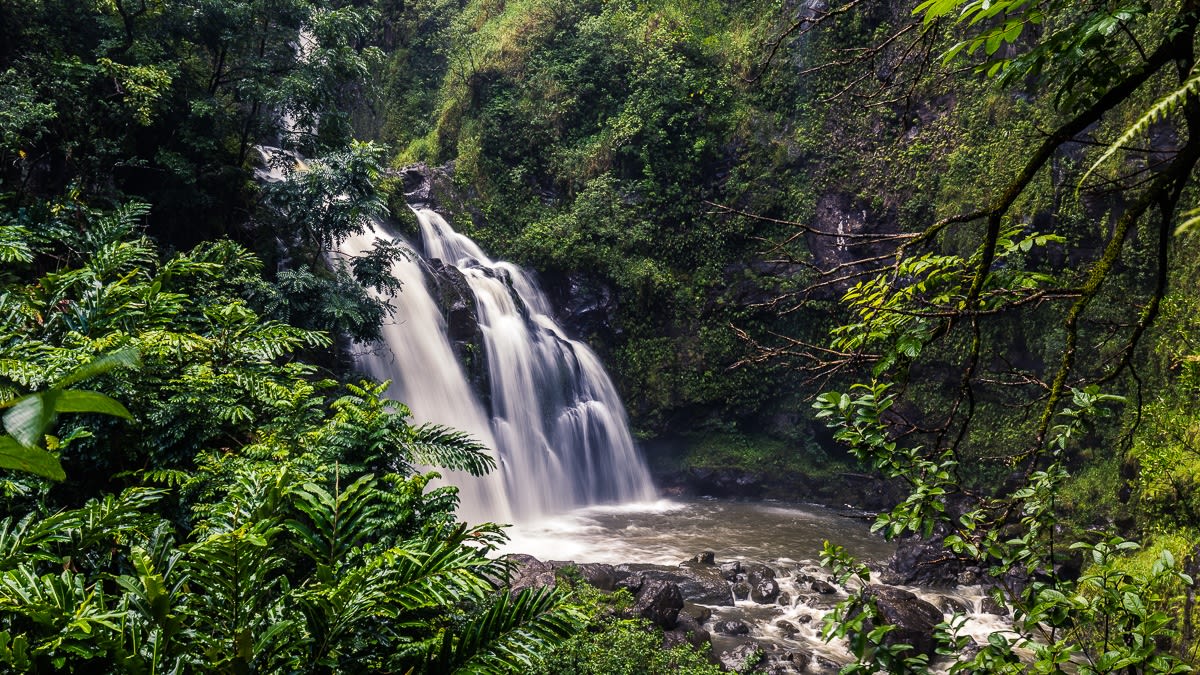 Besøg de bedste vandfald i Maui