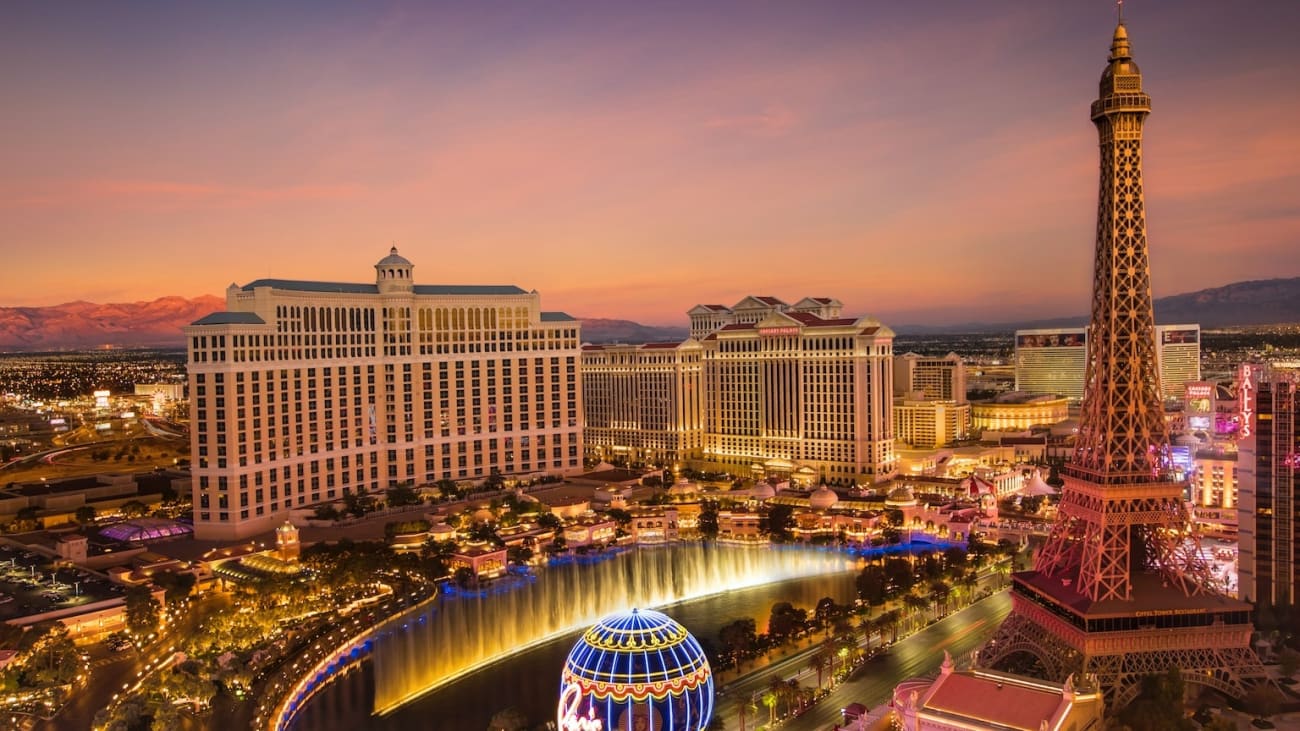 You Can Swim With Sharks in the Middle of the Desert at Las Vegas