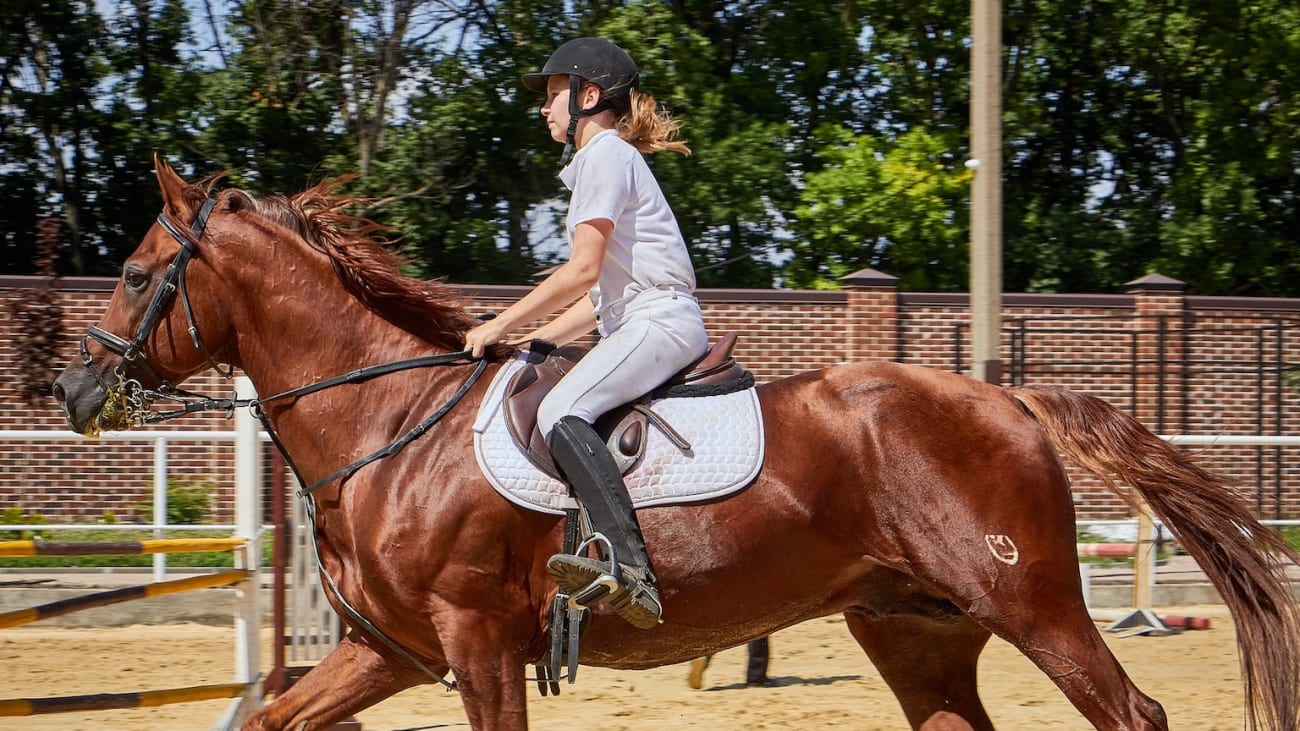 Best Horseback Rides in Las Vegas