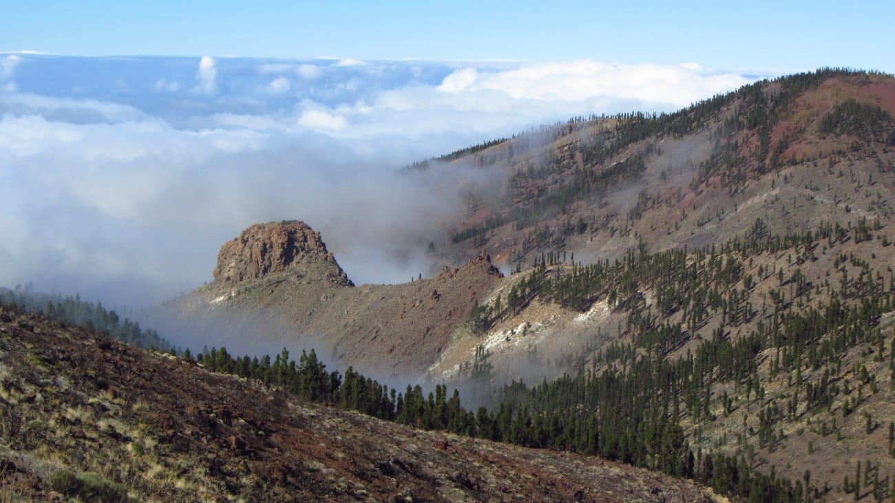 Les meilleurs parcs d’attractions de Tenerife