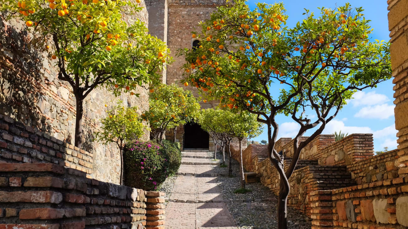 Malaga Alcazaba Priser