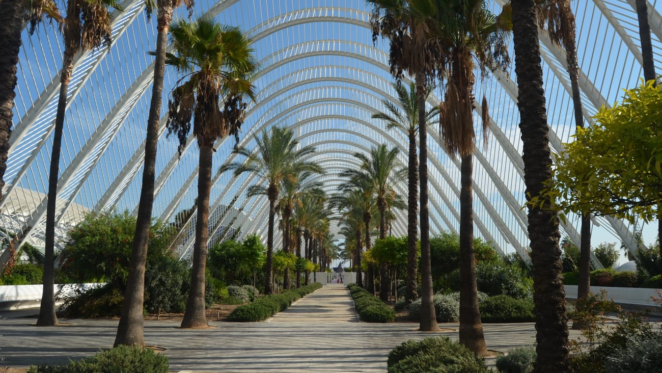 Qué ver y hacer en Valencia en 2 días