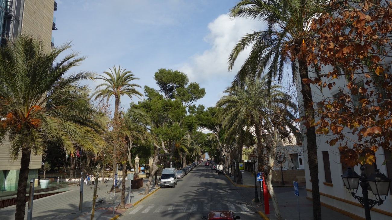 Qué ver y hacer en Cádiz