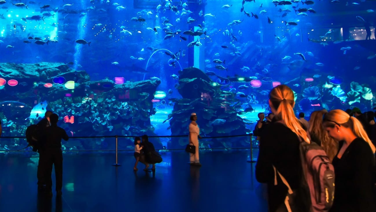 Dubai Aquarium Og Underwater Zoo: Hvordan Man Køber, Priser Og Rabatter