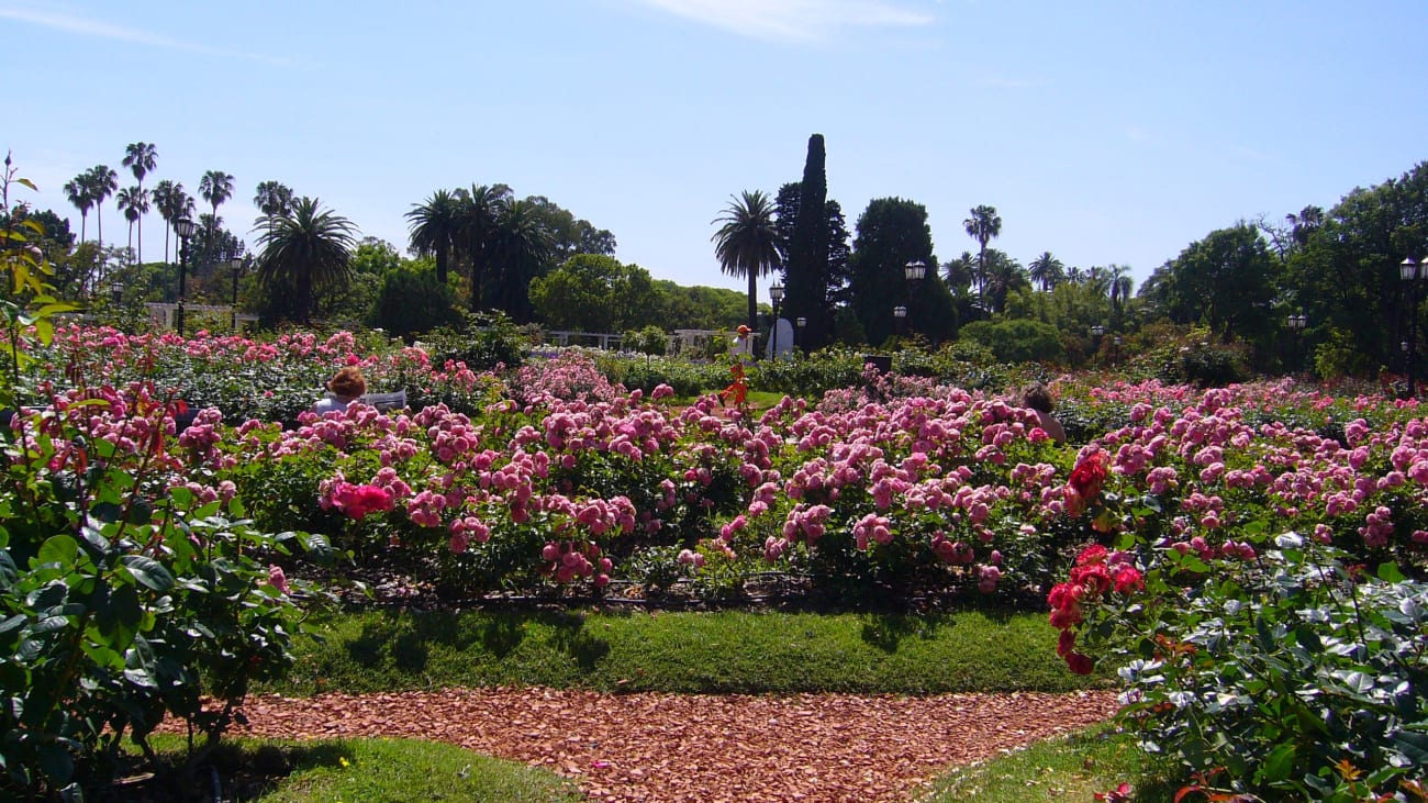 Le migliori cose da fare nel quartiere Palermo di Buenos Aires