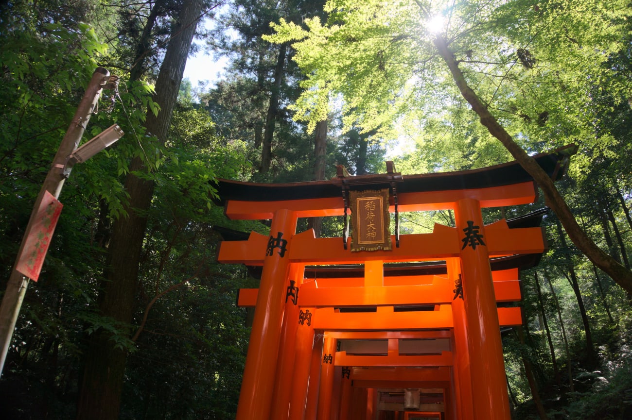 10 saker att göra i Kyoto i Oktober