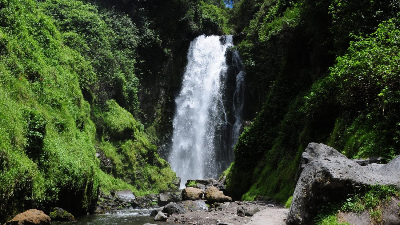 Quito in 3 Days: a guidebook for getting the most out of your visit