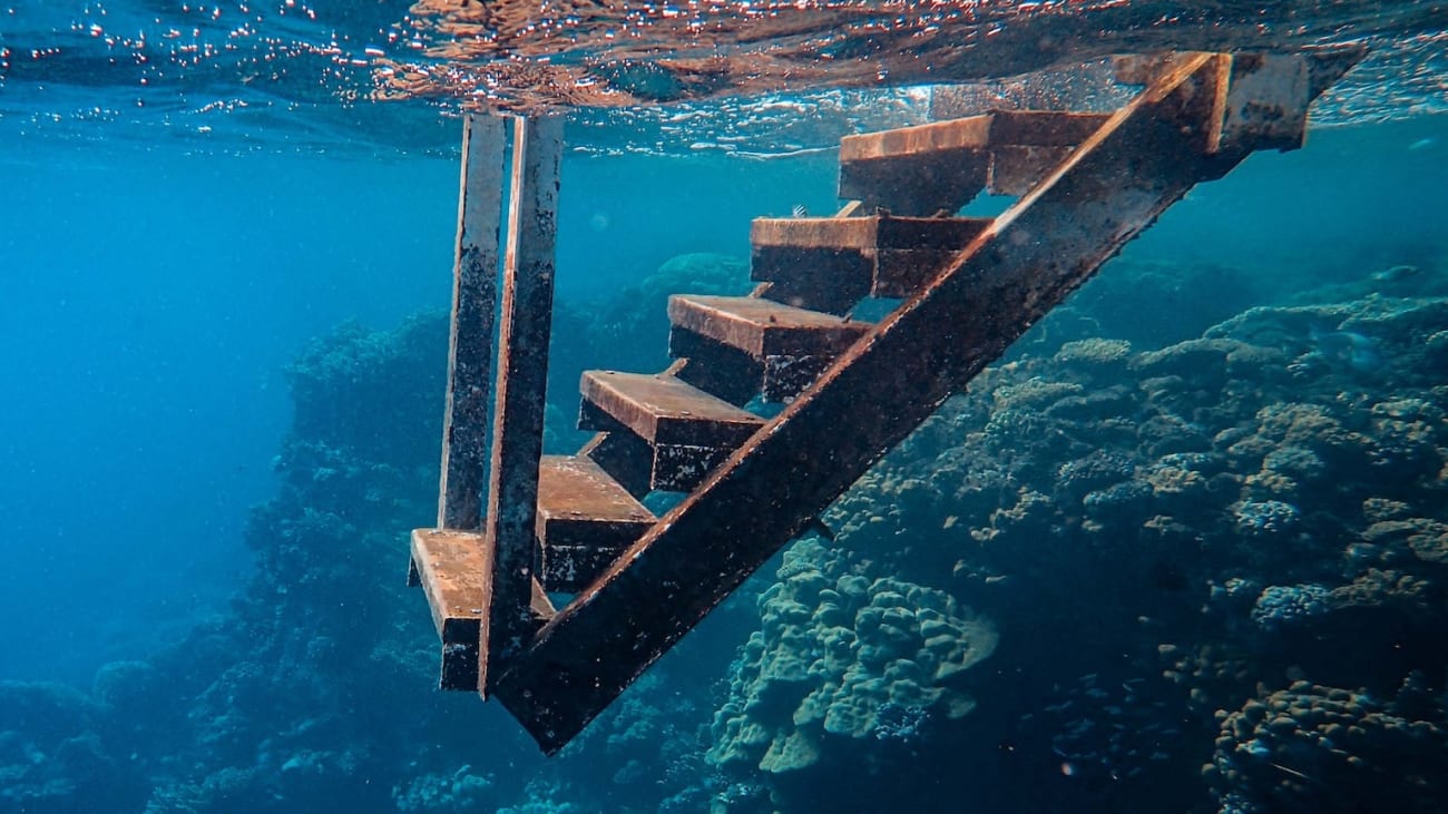 Expériences de plongée et de snorkeling à Philipsburg