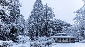 10 Things to Do in Sydney in Winter - Hellotickets