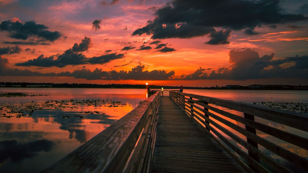 Hvordan Komme Seg til Everglades fra Orlando