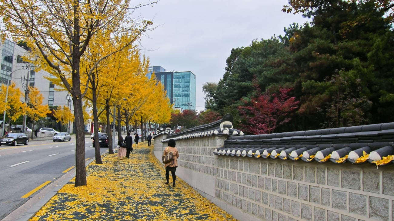 10 Ting å Gjøre i Seoul i November