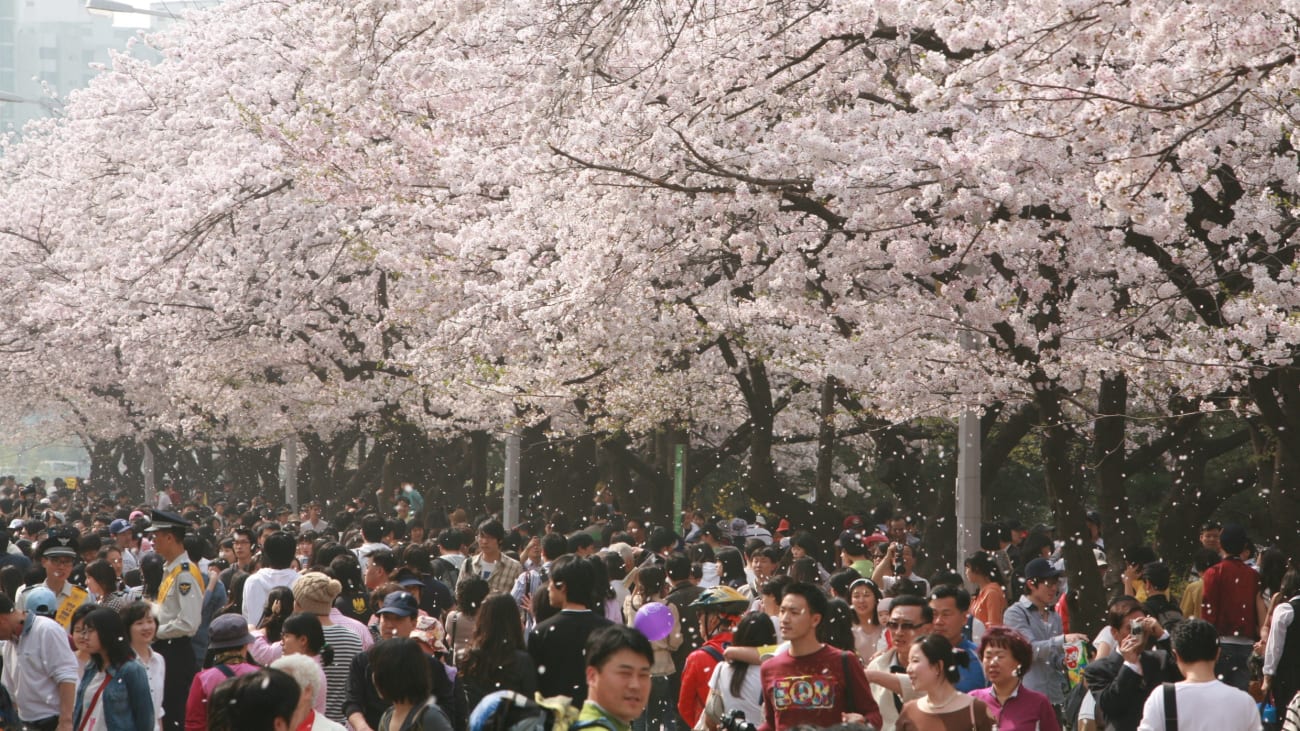 10 Saker Att Göra i Seoul i Mars