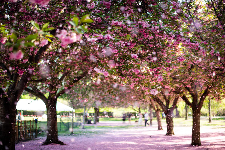 New York au printemps