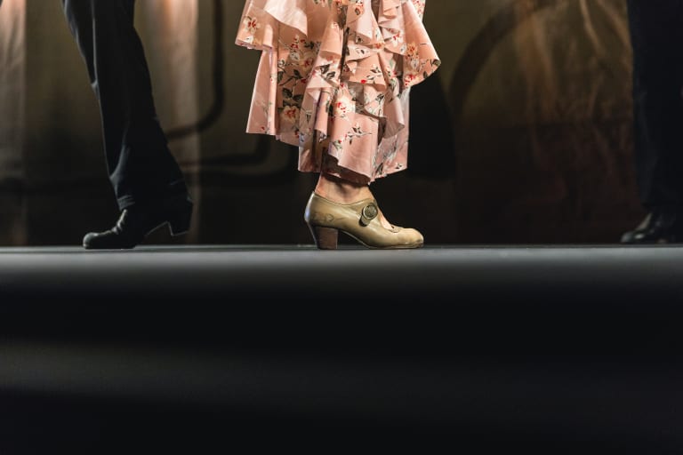 Flamenco from the ground