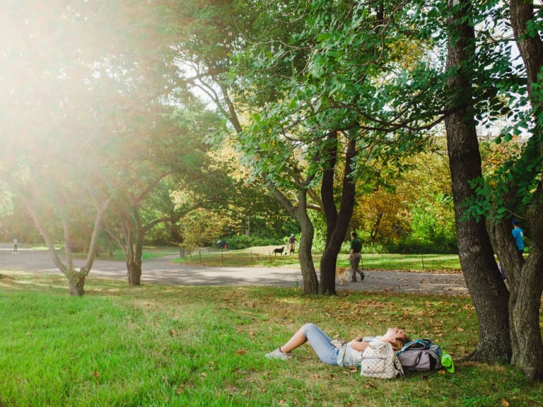 Enjoying an after-dinner nap in Central Park.| ©Hellotickets