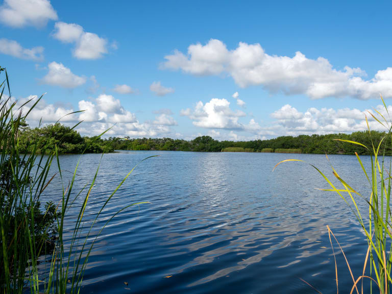 Everglades-Nationalpark| ©Matthew Dillon