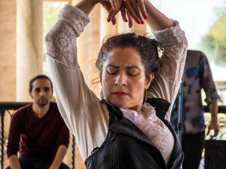 Flamencoshow| ©[●] wim goedhart