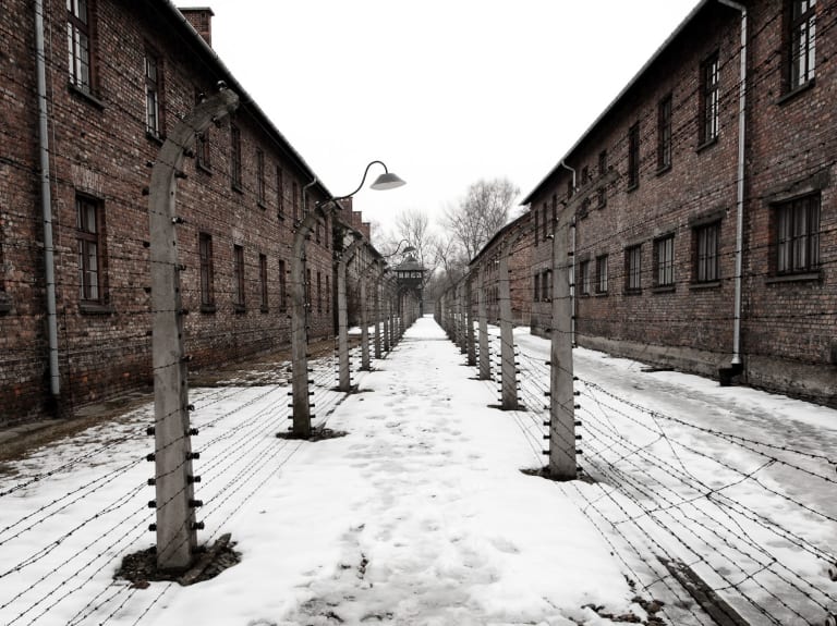 Piikkilanka-aidat ympäröivät koko Auschwitzin leirin.| ©Tomas Forgac