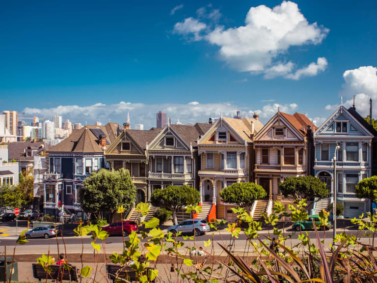 Painted Ladies| ©Aaron Kato