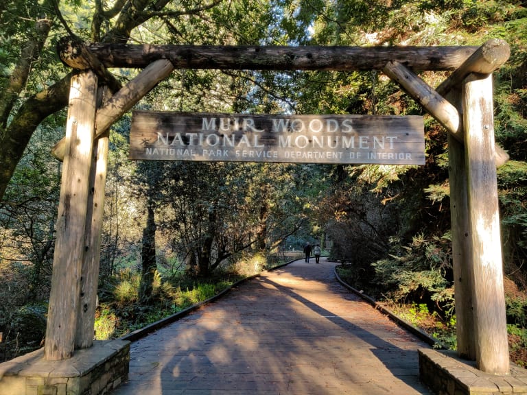 ミュアウッズ国定公園| ©Matthew Dillon