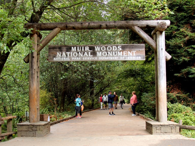 Muir Woods National Monument | ©Thank You
