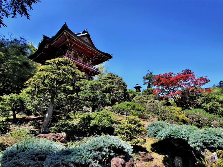 ©Renee Grayson | Jardín de Té Japonés