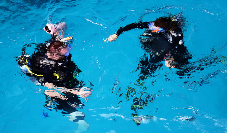 Diving| © Laya Clode
