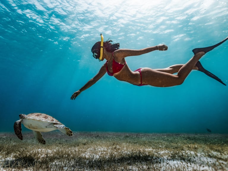 Du snorkeling vers la plongée sous-marine