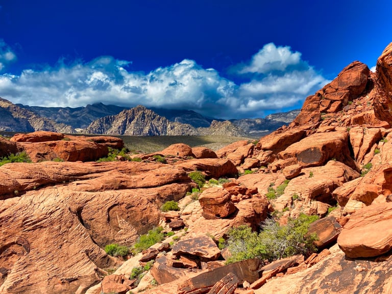 Red Rock Canyon| ©Daniel Halseth