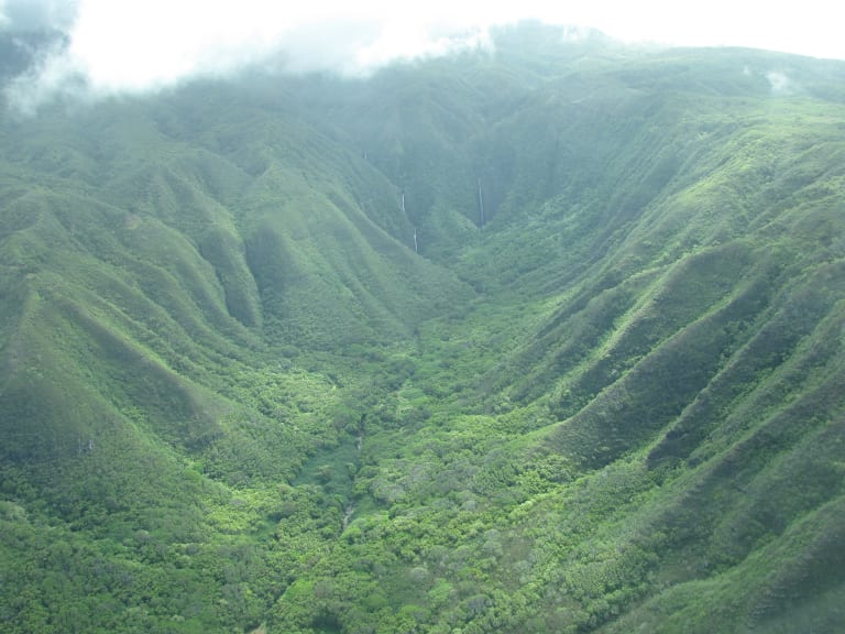 Halawa Valley| ©Forest and Kim Starr