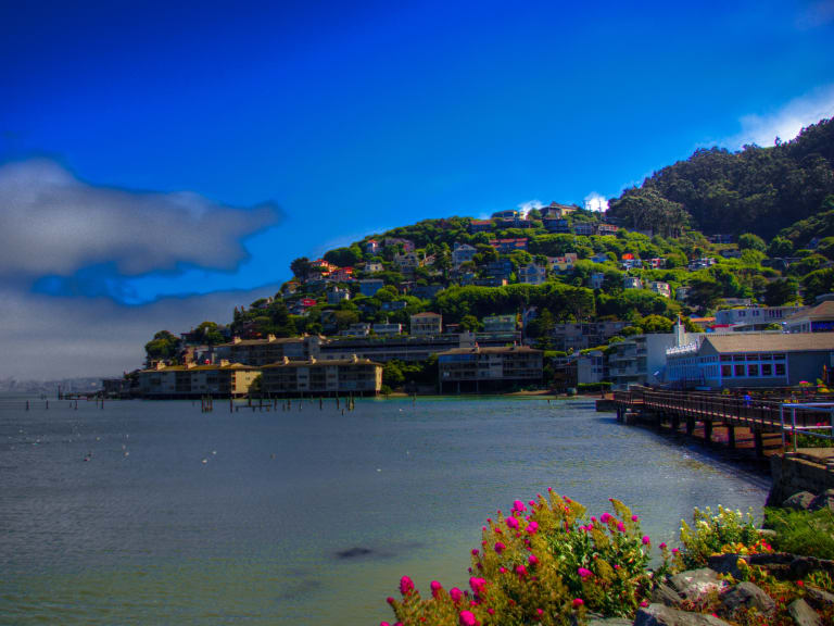 sausalito tour san francisco