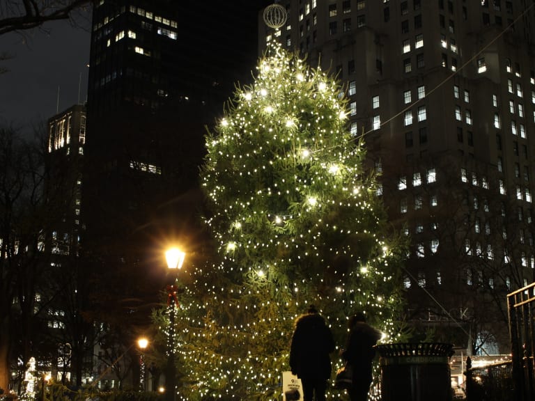 Best Christmas Trees to See in NYC