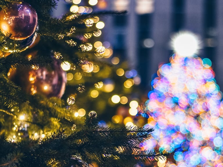 6 NYC Christmas Trees Worth Visiting in 2020