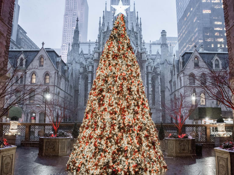 I 11 migliori alberi di Natale a New York - Hellotickets