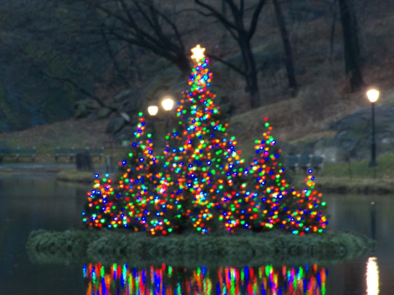 The Best Christmas Trees in NYC – One Good Dad