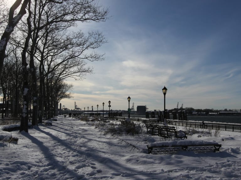Snow in Battery Park| ©Will Hedington