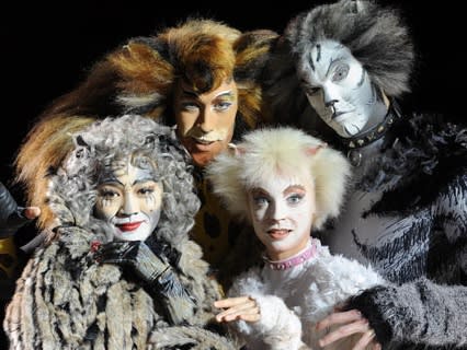 Cats Musical in Broadway NYC: everything you need to know about the show -  Hellotickets