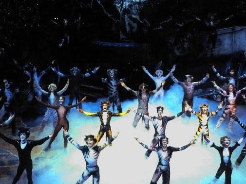 Cats Musical in Broadway NYC: everything you need to know about the show -  Hellotickets