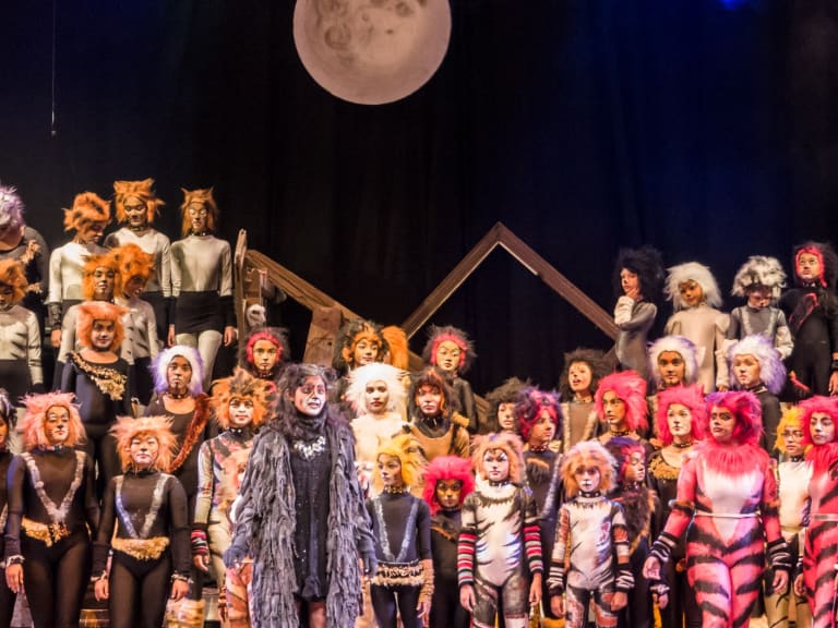 Pensacola Little Theatre will bring famous 'Cats' musical to life